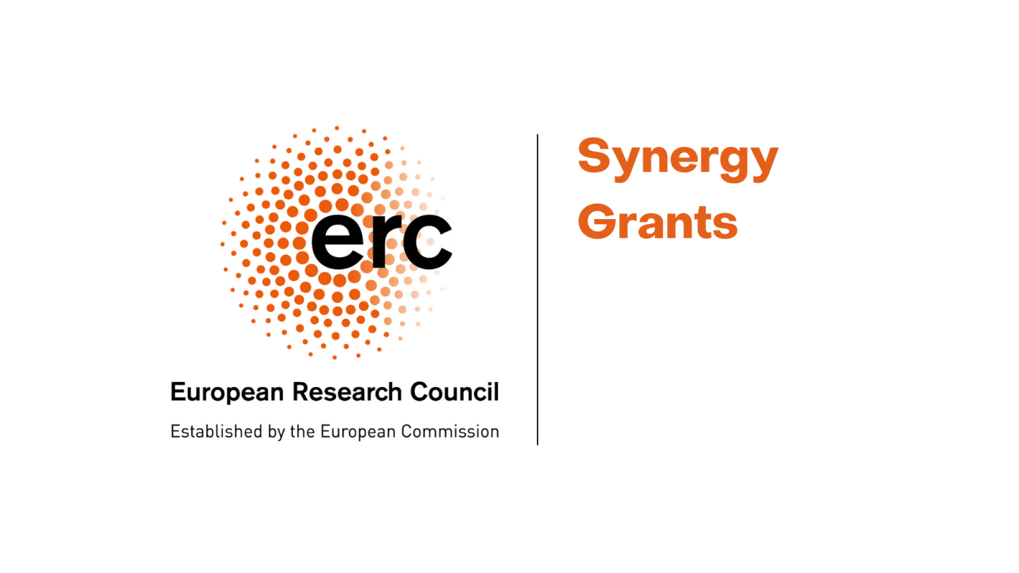 ERC Synergy Grants